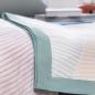 Preview: Breezyblanket Dohad Single Edition Soft Summer Stripes (Mint)