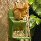 Preview: Eichhörnchen Futterautomat Holz, Mood, Fellnase