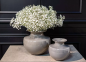 Preview: DutZ Vase 702 B Taupe 2.0., Mood, Blumen