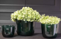 Preview: DutZ Vase Pot Wide darkgreen