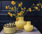 Preview: DutZ Vase 702 A Ochre