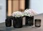 Preview: Dutz, Votive, Black, schoen, modern, Vasen, Blumen