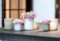 Preview: DutZ Vase Votive Cup White H13/D11