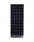 Preview: Lexington Massachussets Recycled Wool Schal Blue Black Check