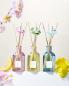 Preview: Collines de Provence Duftstäbchen 100ml Zitrusfrüchte des Südens Preview: Collines de Provence Duftstäbchen 100ml Zitrusfrüchte des Südens