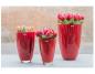 Preview: DutZ Flowervase Red H 21 / D 13