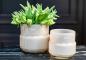 Preview: DutZ Vase Maartje Pot Beige