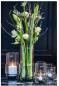 Preview: DutZ Vase Maartje Clear H16 / D12 Preview: DutZ Vase Maartje Clear H16 / D12