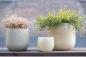 Preview: DutZ Vase Pot Beige