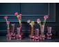 Preview: DutZ Set Vibe Fuchsia Preview: DutZ Set Vibe Fuchsia