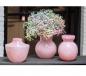 Preview: DutZ Vase Zlatko Rose Preview: DutZ Vase Zlatko Rose