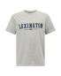 Preview: Lexington Justin Tee T-Shirt Light Grey Melange, modern, schick