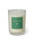 Preview: Lexington Kerze Scented Candle Mint & Lemon, schick, hell, Soja, Kerze