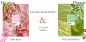 Preview: Collines de Provence Aromabouquet Nachfüller 200ml Moschus & Pistachio
