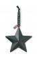 Preview: Lexington Metal Star Green 12 x 12 cm