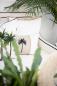 Preview: Paloma Living Bahama Palm 30x50, Mood, Modern Preview: Paloma Living Bahama Palm 30x50, Mood, Modern