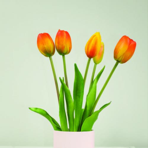 Tulip Orange Tulpenstrauß mit Duftsäckchen