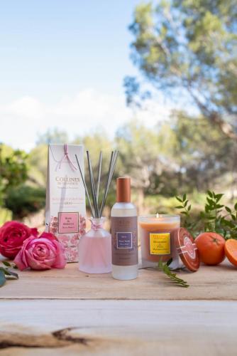 Collines de Provence Aromabouquet 100ml Feige & Aloe Vera, Mood