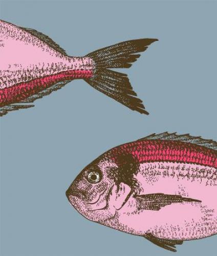 pad home Design Kissen Fish blue 2er pack, schick, cool, Meer