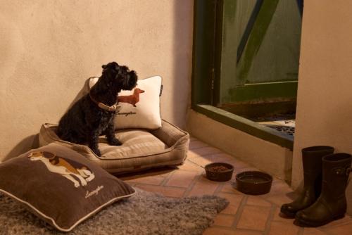 Lexington Dog Organic Cotton Velvet Kissenhülle 40x30