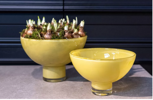 Preview: DutZ Bowl Andreas Orche