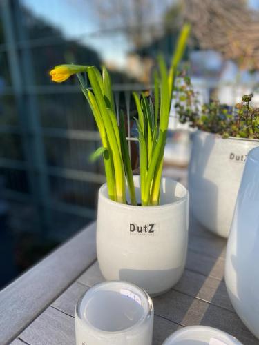 Preview: DutZ Vase Pot White Weiss
