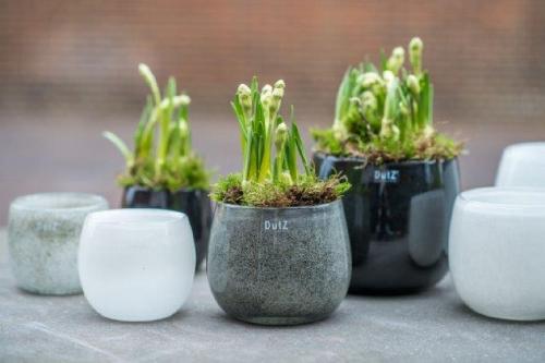 Preview: DutZ Vase Pot White Weiss
