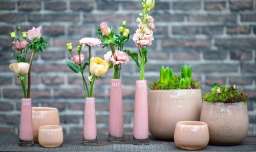DutZ Vase Pot Salmon, Mood, wunderschoen