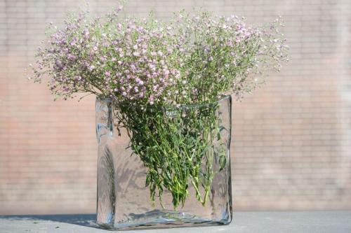 DutZ Vase Rectangular Clear, Mood, Blumen
