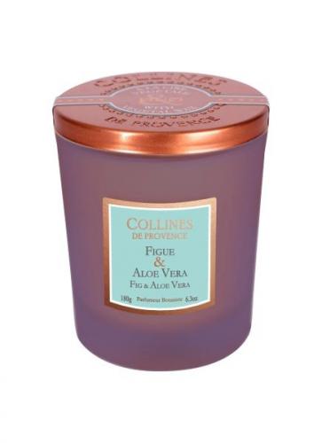 Collines de Provence Kerze Feige & Aloe Vera 180g, wunderschoen