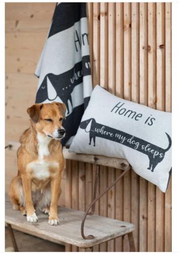 David Fussenegger Haustierdecke Dackel home is where my dog sleeps filz 70x90