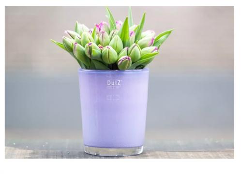 DutZ Conic Vase Lila H17 / D15