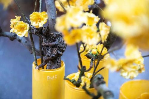 DutZ Zylinder S Corn Yellow H18 / D6, Mood, Close up