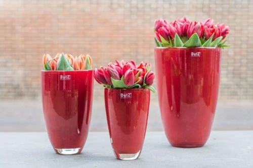 DutZ Flowervase Red, Mood, Tulpen
