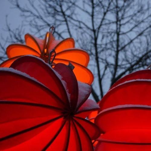 Lampion Barlooon in rot