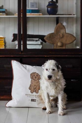 Lexington Kissenbezug Dog Emboidered Organic Cotton Twill , Mood, Hundefreund
