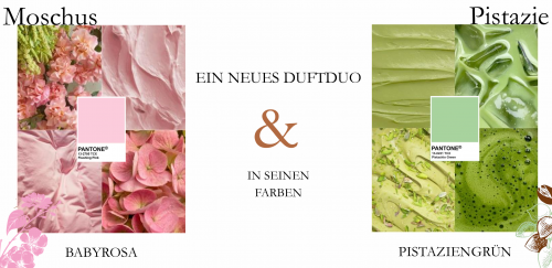 Preview: Collines de Provence Duftstäbchen 100ml Moschus & Pistachio