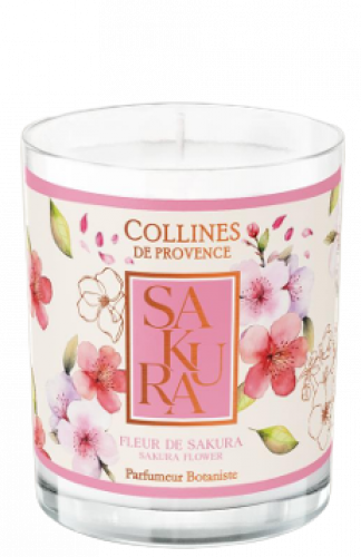 Collines de Provence Kerze Sakurablüte 180g