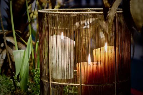 Dekocandle Cylinder Kerze Turquoise
