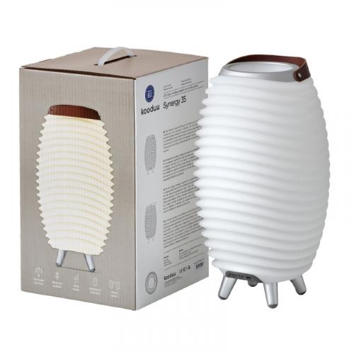 Kooduu Synergy 35 Stereo 2.0, Verpackung