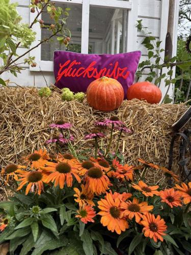 Preview: pad home Design Kissenhülle Letters glückspilz berry strohballen
