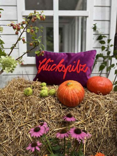Preview: pad home Design Kissenhülle Letters glückspilz berry