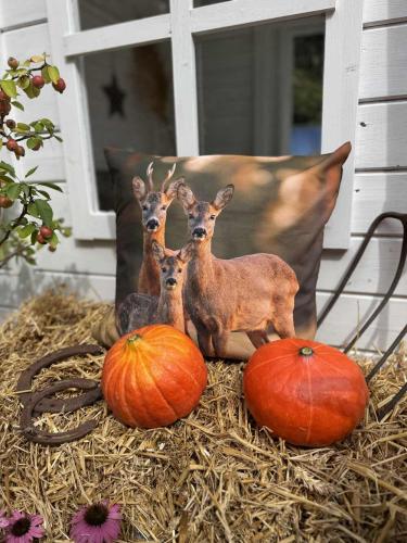 Preview: pad home Design Kissenhülle Fam Rehe