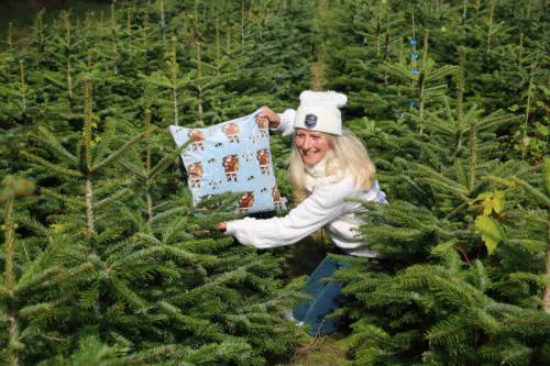 Preview: pad home Design Kissenhülle Nicolaus blue