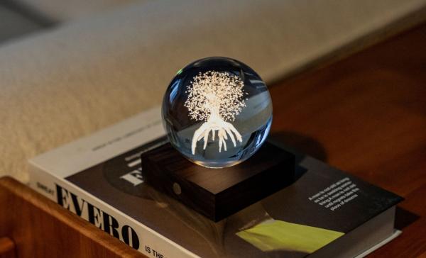 Gingko Amber Crystal Kristall Tree of Life