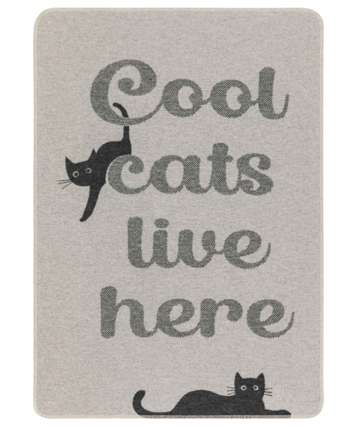 David Fussenegger Haustierdecke cool cats 70x90 