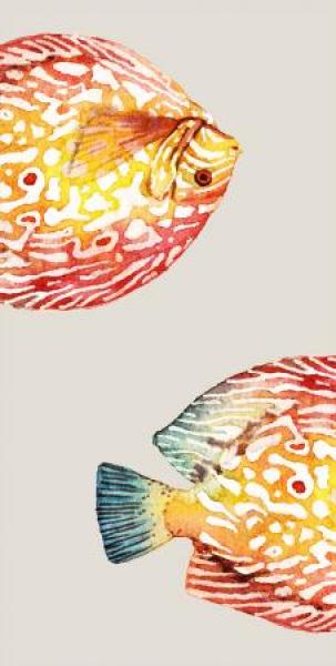 pad home Design Kissen Fish sand 2er pack, fisch, Freunde pad home Design Kissen Fish sand 2er pack, fisch, Freunde