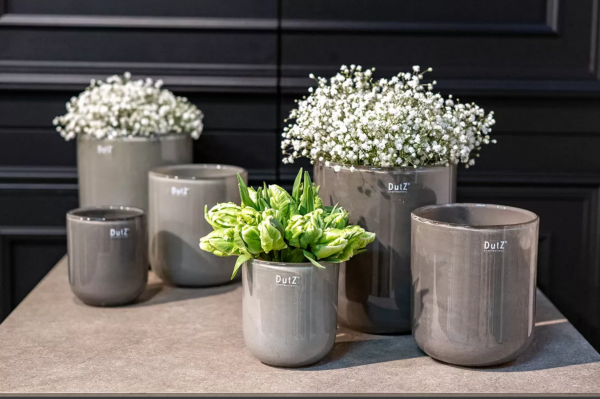 Dutz Vase, Petra, Mood, Blumen