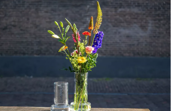 DUtz; Vasenliebe, Freude, Freunde, Frühling