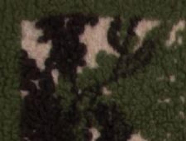 Frati HomeTextiles Decke Foresta